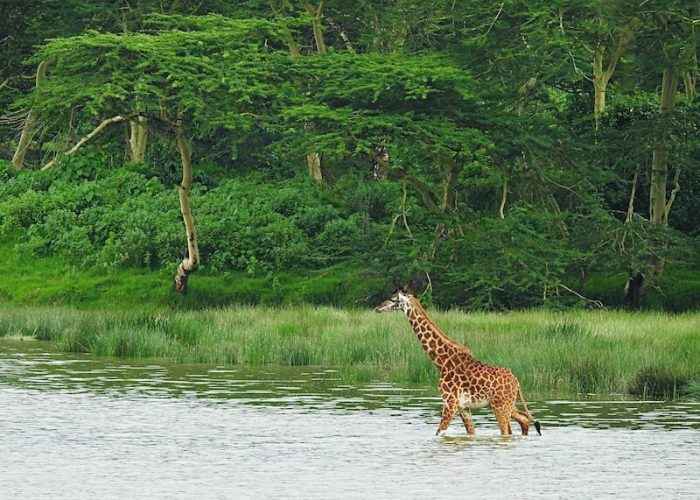 Arusha National Park3