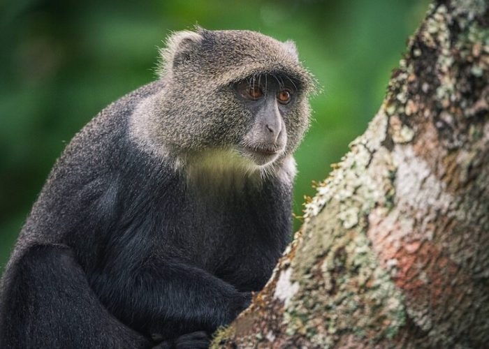 Arusha National Park4