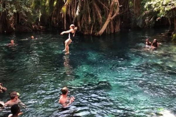 Kikuletwa Hot Springs1