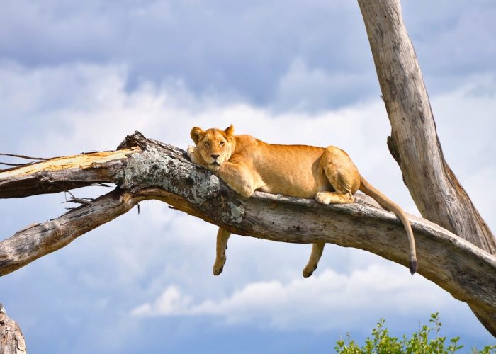 Lake Manyara National Park2