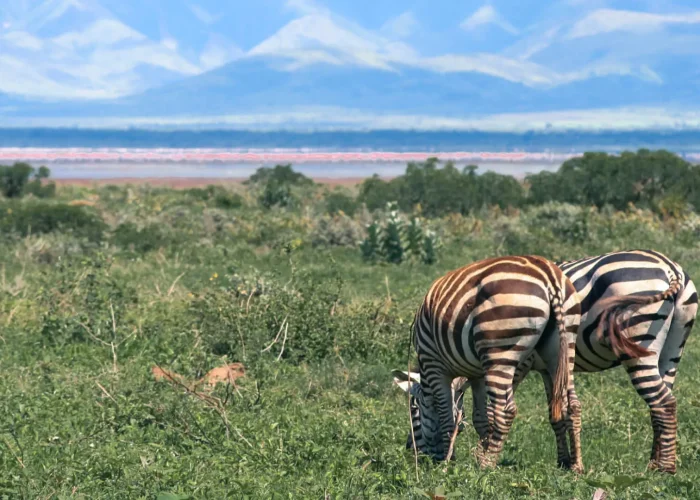 Lake Manyara National Park3