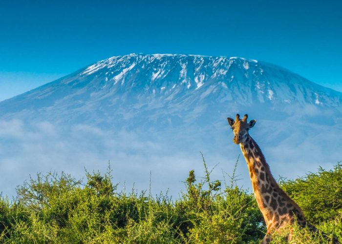 Mount Kilimanjaro National Park