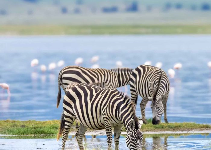 Ngorongoro Crater31