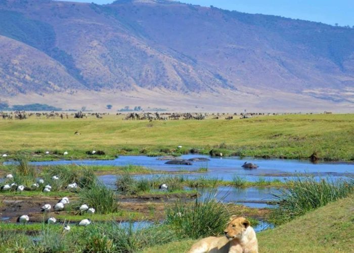 Ngorongoro Crater4